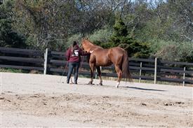 LR-WRF 10182025 Retreat-6492